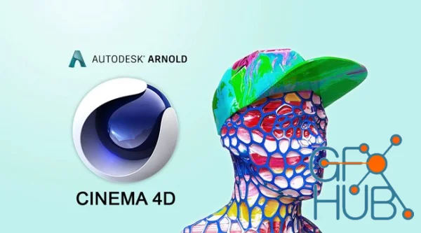 Arnold C4DtoA v4.6.6.2 for Cinema 4D 2024 Win x64