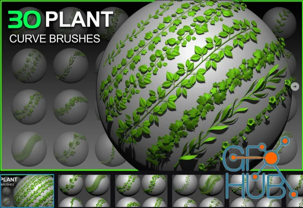 30 Plant Curve Brushes