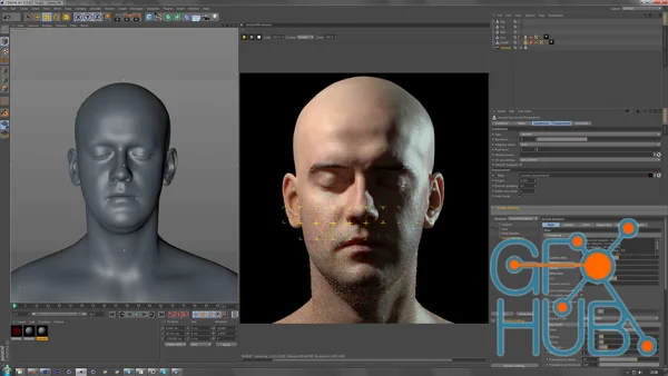 Arnold 4.6.8.1 for Cinema 4D R25-2024 Win x64