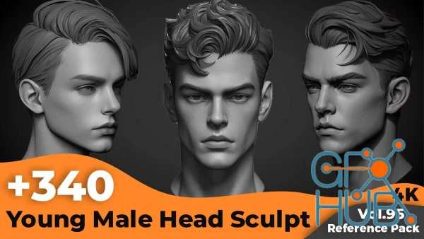 +340 Young Male Head Sculpt Reference(4k)