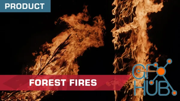 ActionVFX Forest Fires 4k (MOV)