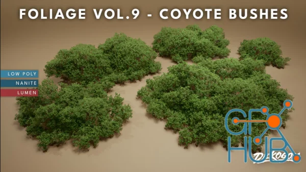 Foliage VOL.9 - Coyote Bushes (Nanite and Low Poly)