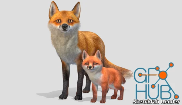 Fox - Family