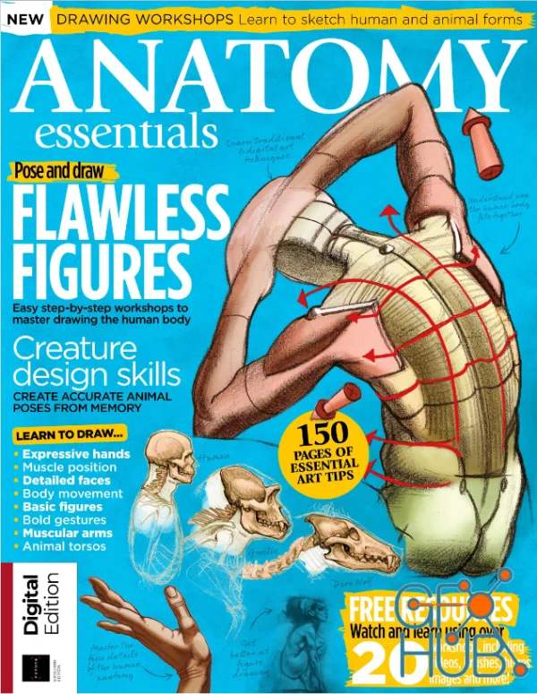 ImagineFX Presents - Anatomy Essentials, 16th Edition 2024 (PDF)